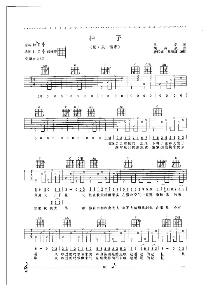 羽泉《种子》吉他谱