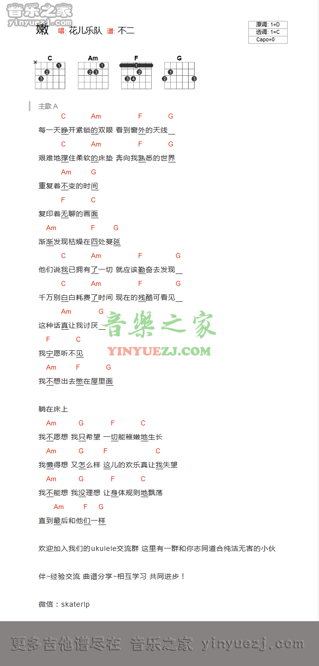 花儿乐队吉他谱